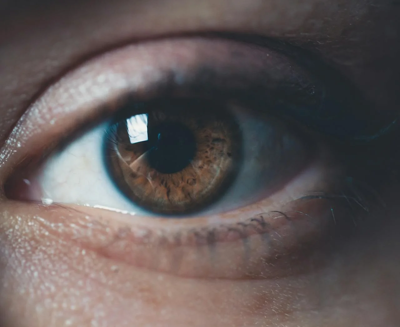 Image of a brown eye
