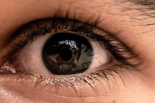 Close up image of a dark brown eye